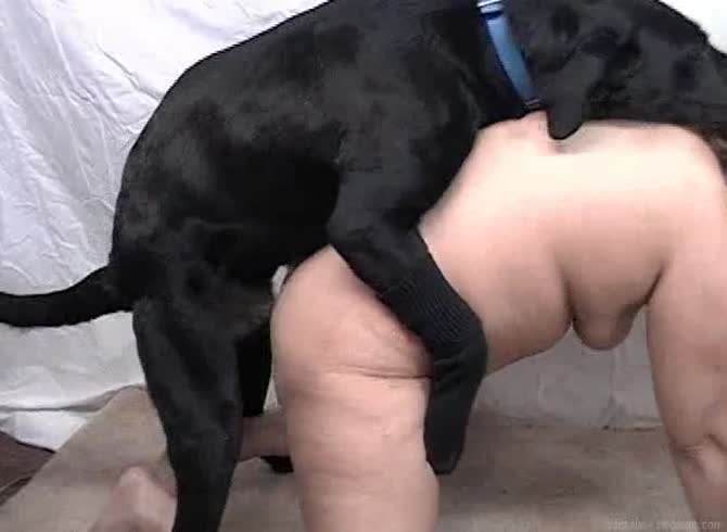 Video :Dog porn tube with curvy whore getting creampied