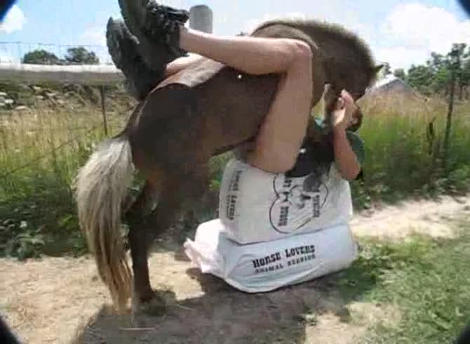 Video :Gay beastiality sex with a horse in a public road