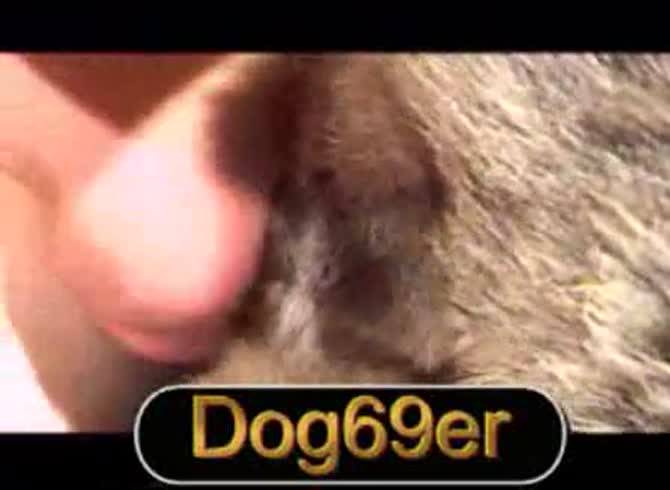 Video :Nasty dude fucking a dog's zoopussy in animal sex video