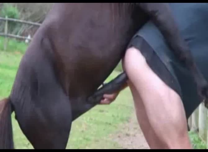 Video :Horse orgasm inside the ass of butt naked farmer