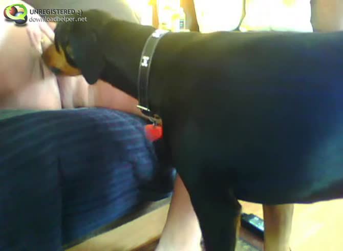 Video :Black dog oral sex with kinky lady opening wide her pussy
