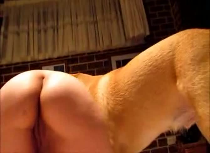 Video :Brown dog fucking a hot amateur beastie gal with perky ass