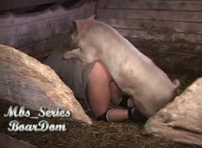 Video :Slut got fucked and pounded by pig in pig porn