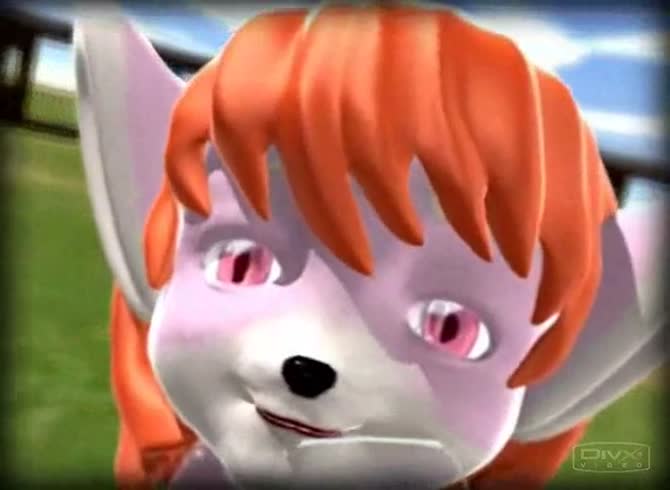 Video :Dog fucking another dog in a green grassy field