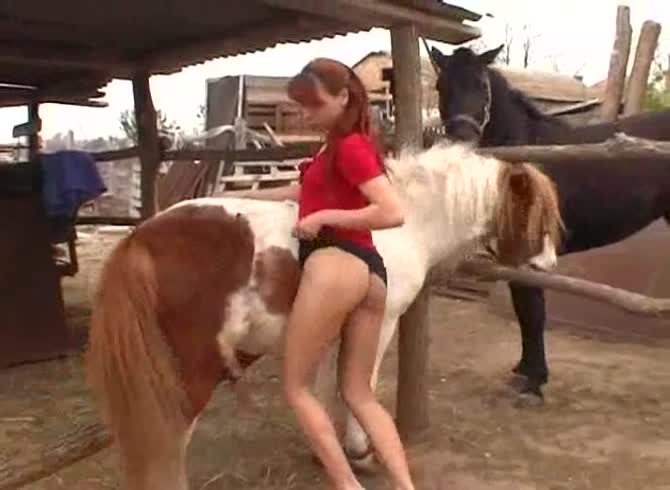 Video: Lovely teen beastiality lover visits the farm to have horse sex