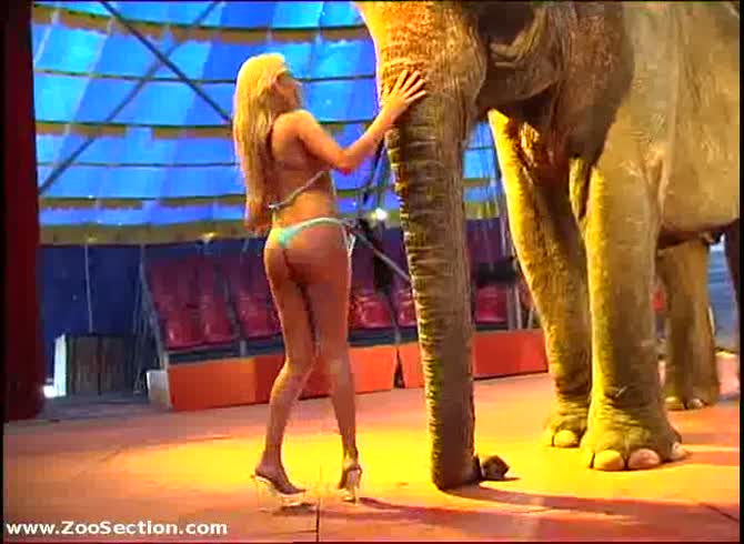 Video: Sexy blonde babe playing with elephant and have animal sex