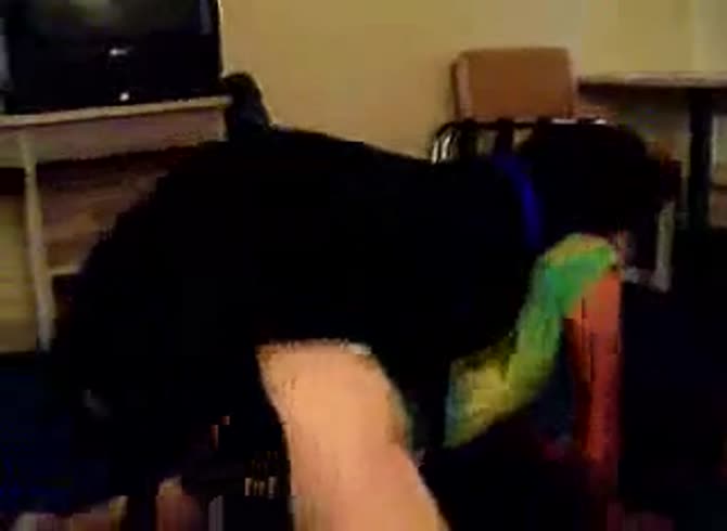 Video :Amateur beastiality lover got fucked by black dog