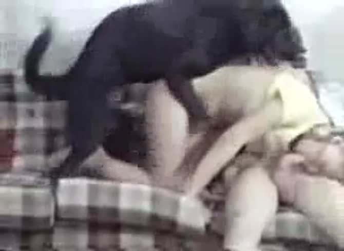 Video: Sexy slut sucking her boyfriend's dick while having dog sex