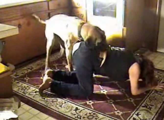 Video :Hot chick put a hole on her pants to fit a dog dick in her pussy