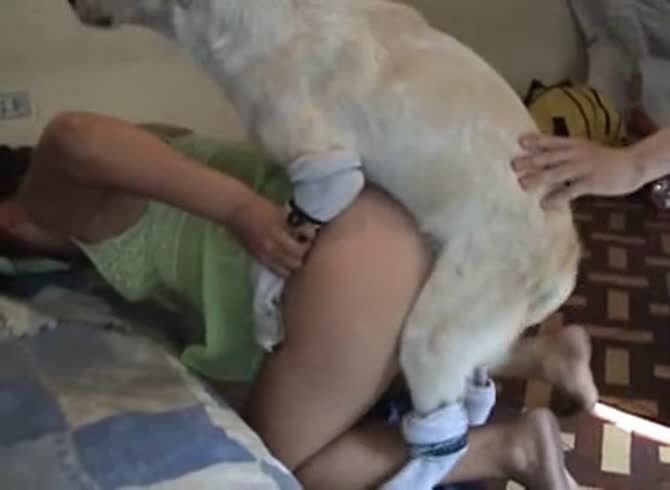 Video: Granny having dog sex and dog dick deep in her hairy pussy