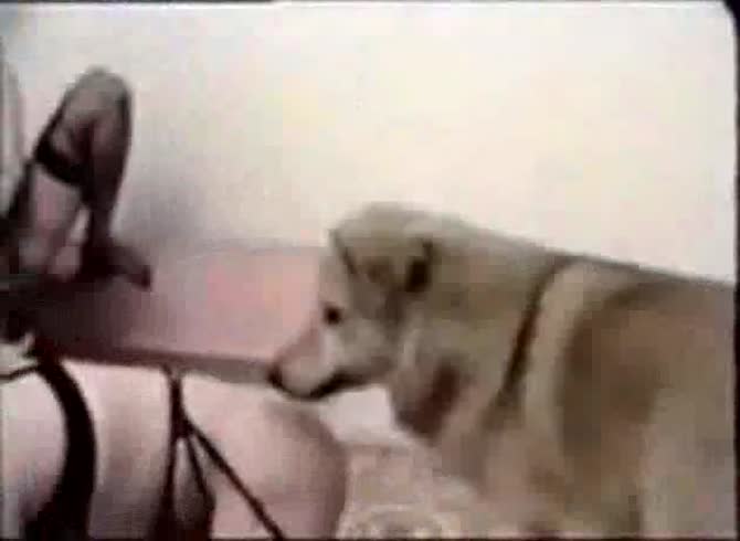 Video :Lovely blonde girls having animal threesome with dog