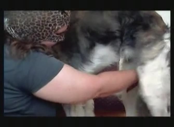 Video :Masked slut massaging dog dick and playing with it