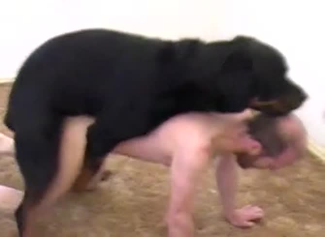 Video :Gay animal anal sex lover got fucked by dog