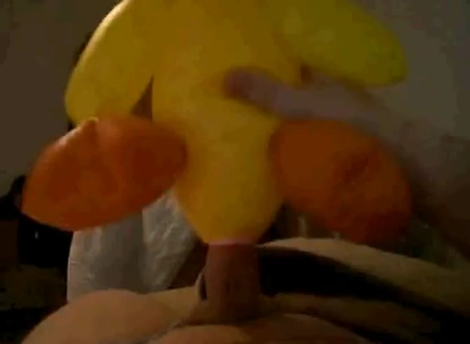 Video :Toy duck got fucked by a nasty gay beastiality dude