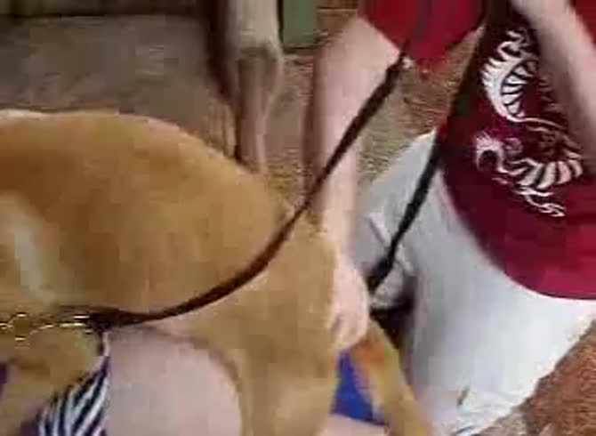 Video :Kinky girl got banged in amateur dog porno