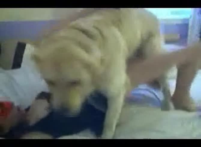 Video :Homemade beastiality porn of nasty girl and her dog
