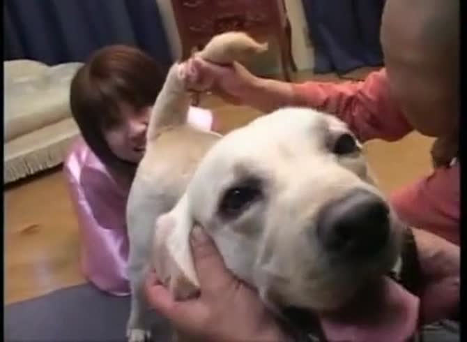 Video: Beautiful and kinky teen beastiality lover playing with dog dick
