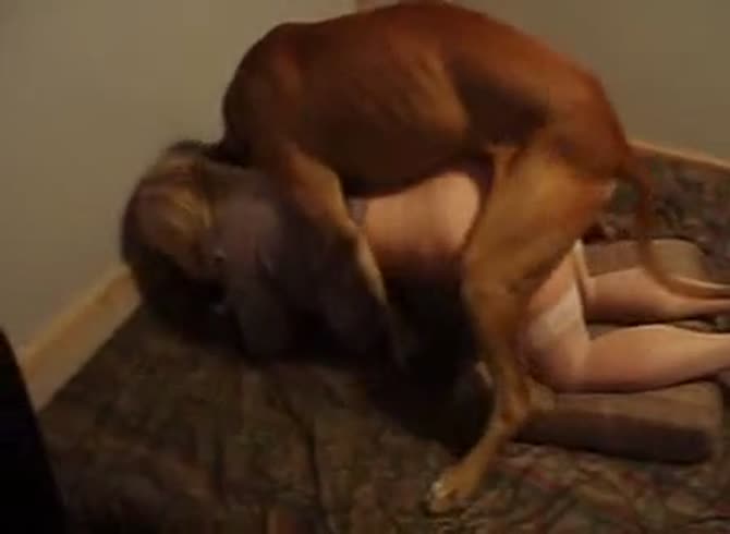 Video :Dog hard fucking a naked animal sex lover on the couch