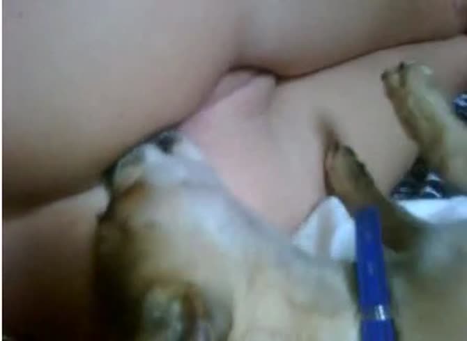 Video: Dog licking and savoring the tasty pussy of beastie gal