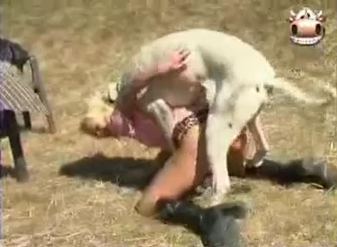 Video :Outdoor dog sex with busty blonde babe