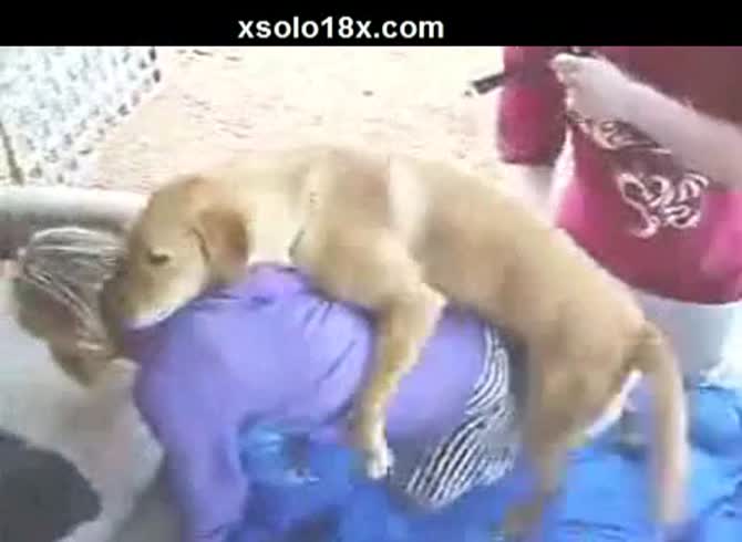 Video: Horny dog fuckin a curvy babe with big fat ass in animal sex porno