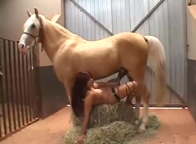 Video :Gigantic horse dick destroying the pussy of a hot slut