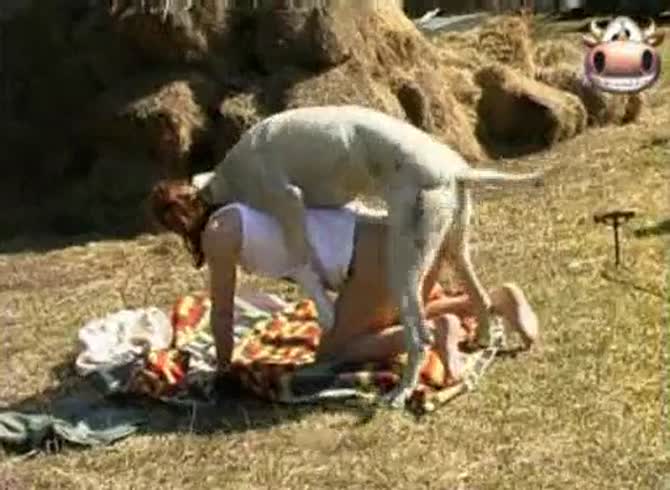 Video :Outdoor dog sex with beastie gal getting banged by dog