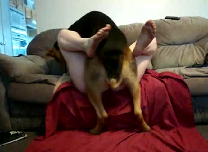 Video :Hot dog sex on the couch with slut getting banged