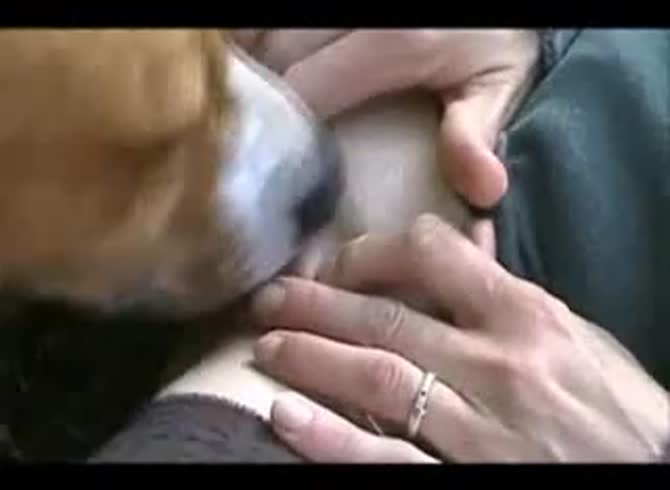 Video :Slut opening wide her shaved pussy for dog oral sex