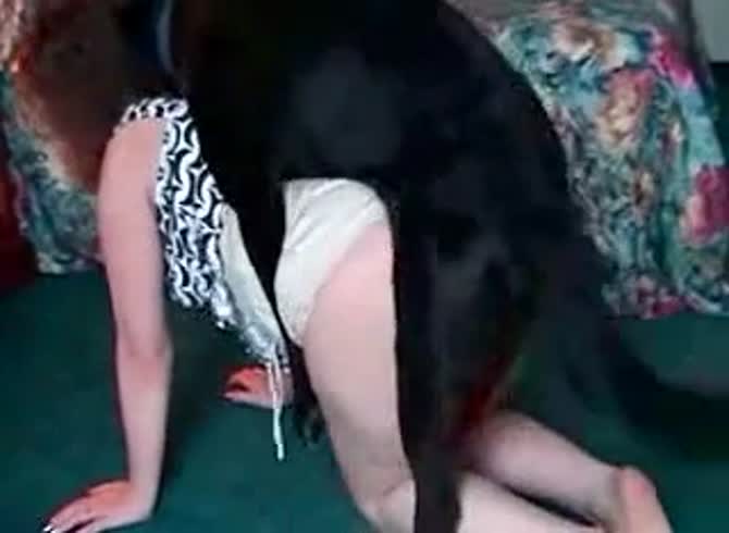 Video: Black dog fucking a matured slut in dogstyle position