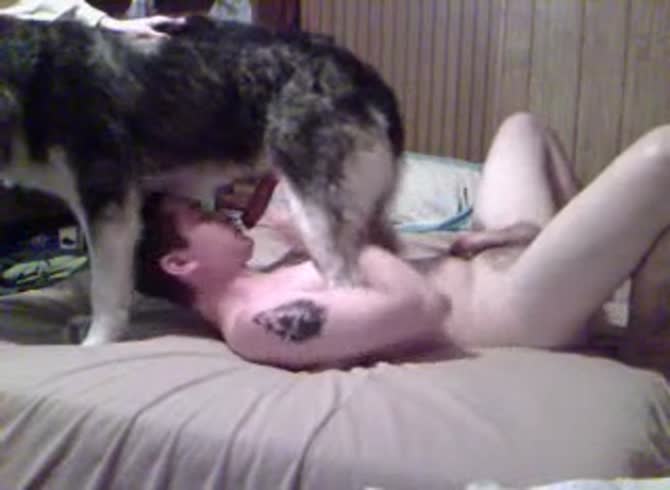 Video :Big dog dick knotted to lady's pussy until orgasm