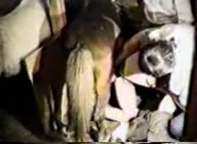 Video :Animal sex fun with dog and beastiality lovers