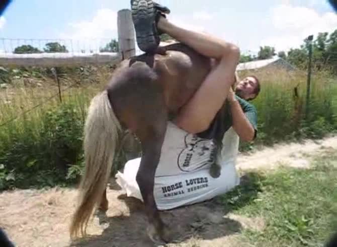 Video :Outdoor horse sex with gay beastiality lover