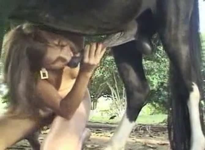 Video :Hot chick visiting the farm to suck a horse dick