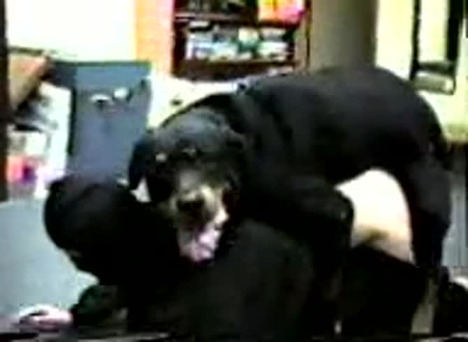 Video :Big black dog hard fucking a curvy beastiality lover