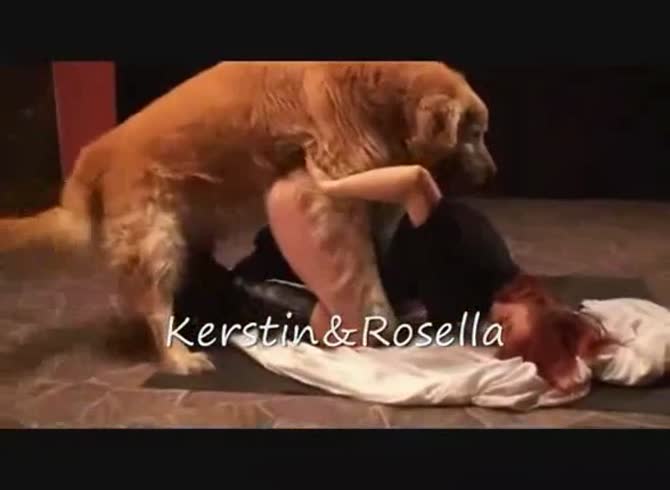 Video :Sexy brunette babe enjoying dog dick deep in her pussy