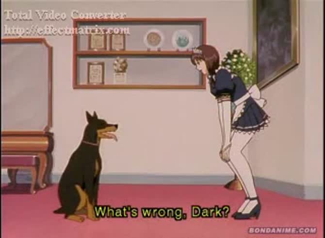 Video: Dog fucking a beautiful and sexy maid in animal sex video