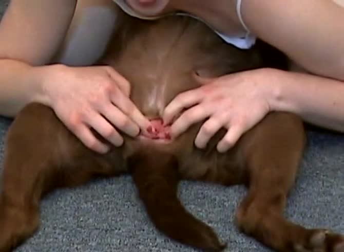 Video :Masked slut loving dog oral sex from brown dog