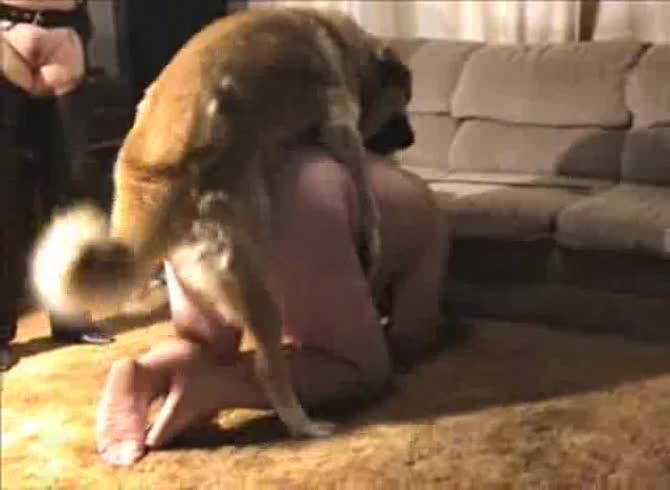 Video: Onlyzoo - Dog fucking a big ass slut in hot amateur porno