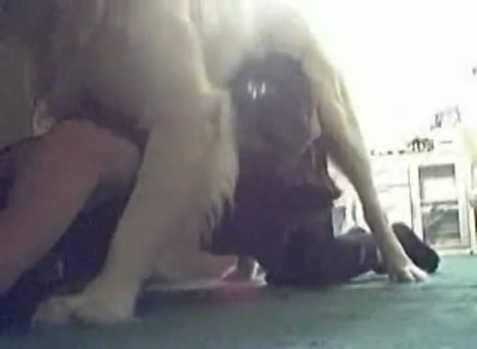 Video :Sexy lady filming herself having sex with a dog