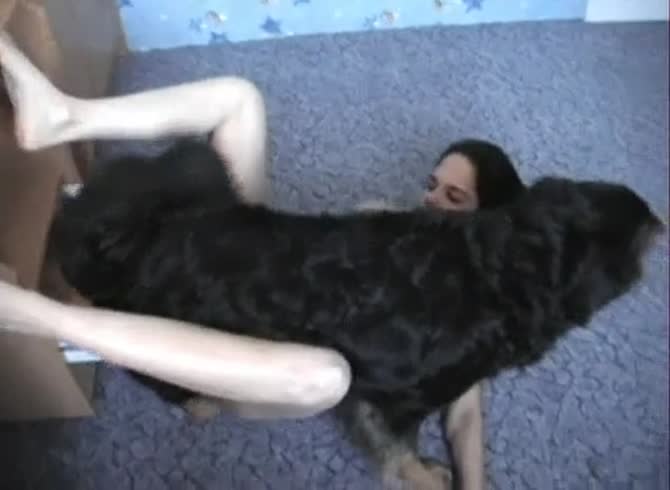Video :Beautiful teen got smashed in force beastiality sex