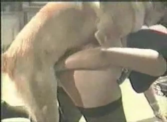 Video :Big ass slut got butt-naked while having dog sex