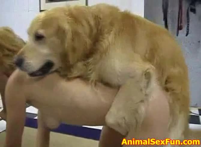 Video: Two ladies sharing a huge dog dick and have animal sex fun