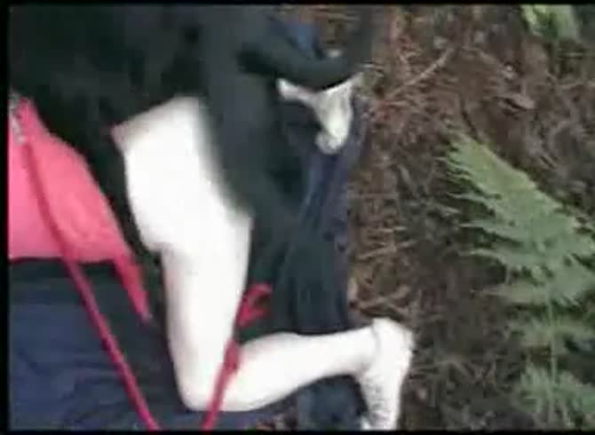 Video: Outdoor dog sex with kinky whore getting backshots from dog