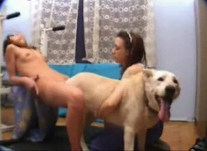 Video :Beastiality threesome of two ladies and a big dog