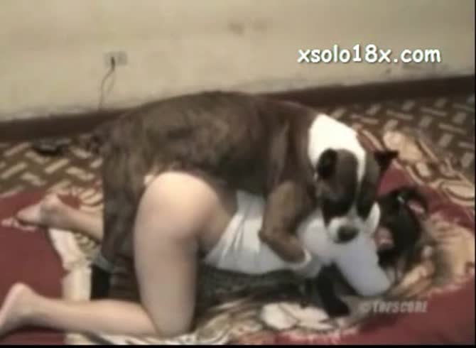 Video :Young teen beastiality sex with a dog