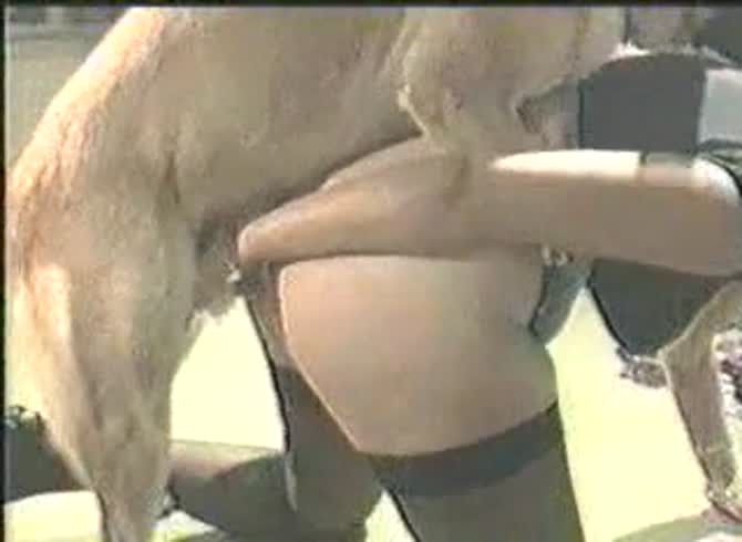 Video :Busty beastie gal got fucked in dog porno