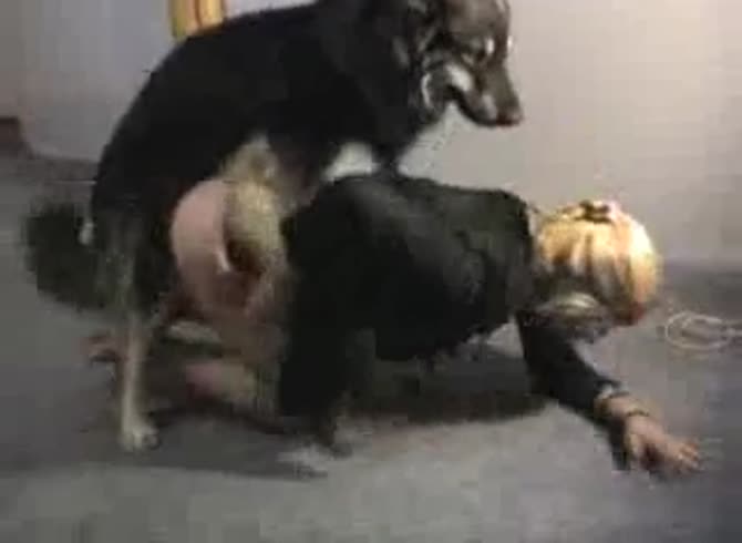 Video :Beautiful blonde teen having dog sex until orgasm