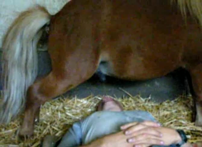 Video: Kinky gay beastiality lover waiting for horse cum to drop in his mouth