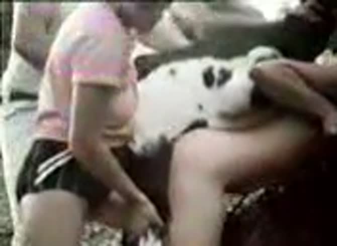 Video :Beastiality lovers having animal group sex with dog